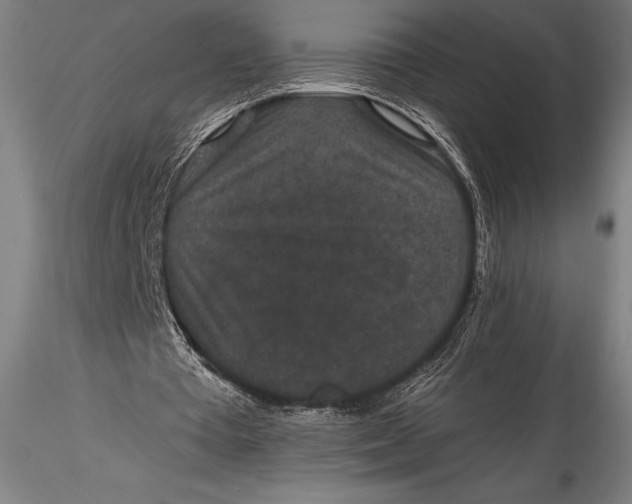 X0000115530385200911271351