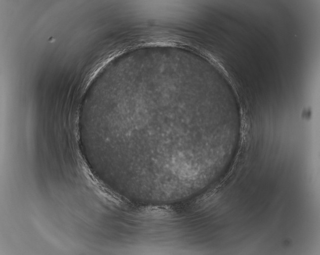 X0000115530386200911271351