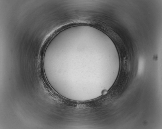 X0000115530388200911271351