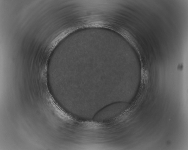 X0000115530389200911271351