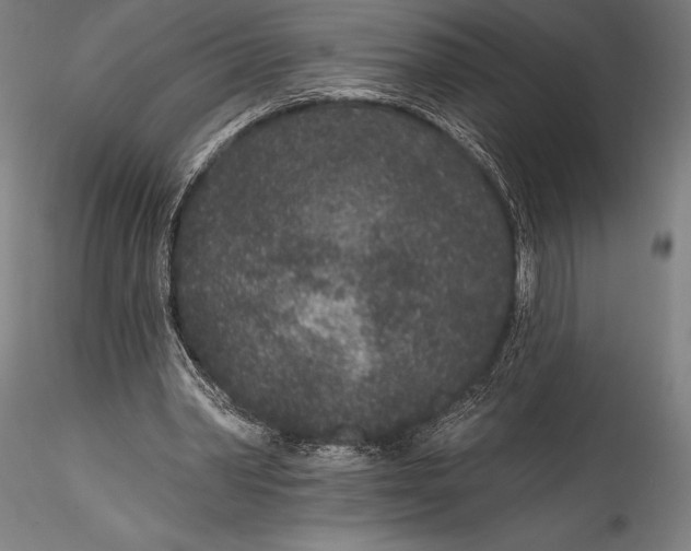 X0000115530390200911271351