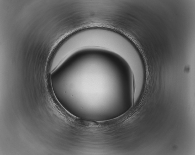 X0000115530391200911271351