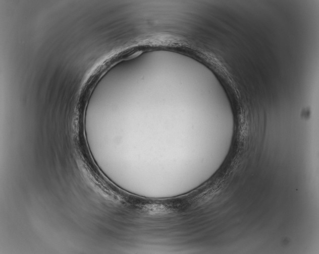 X0000115530392200911271351