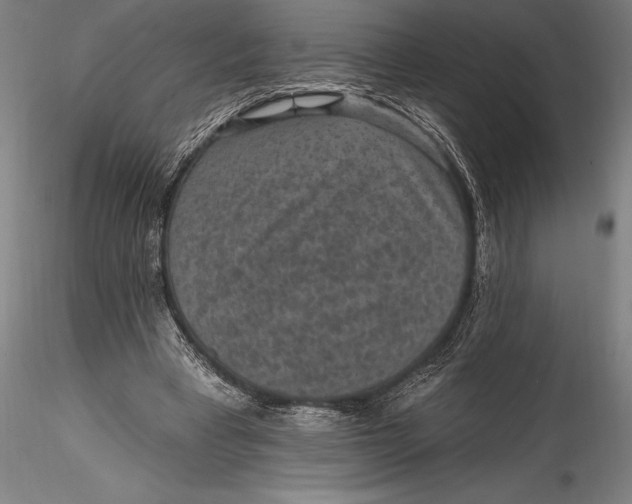 X0000115530393200911271351