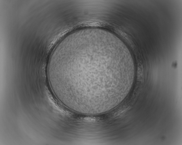 X0000115530394200911271351