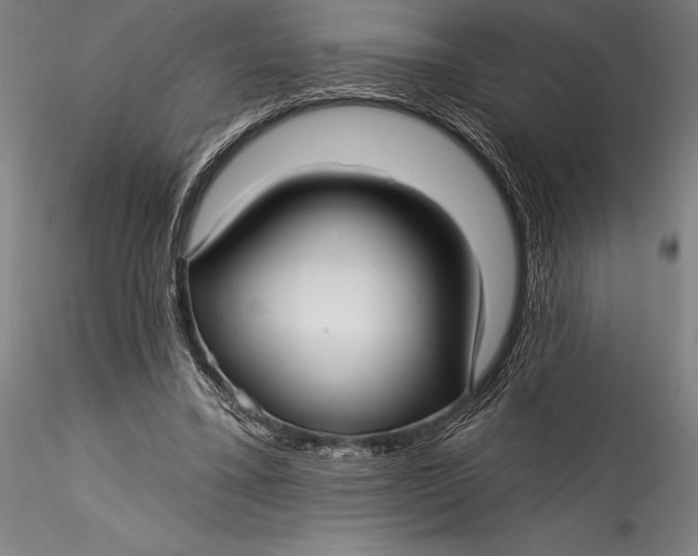 X0000115530395200911271351