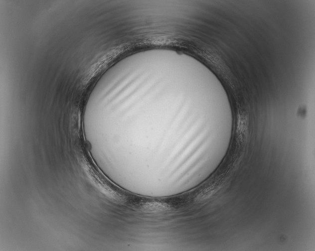 X0000115530397200911271351