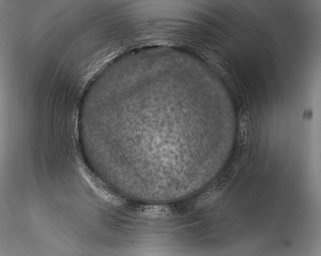 X0000115530398200911271351