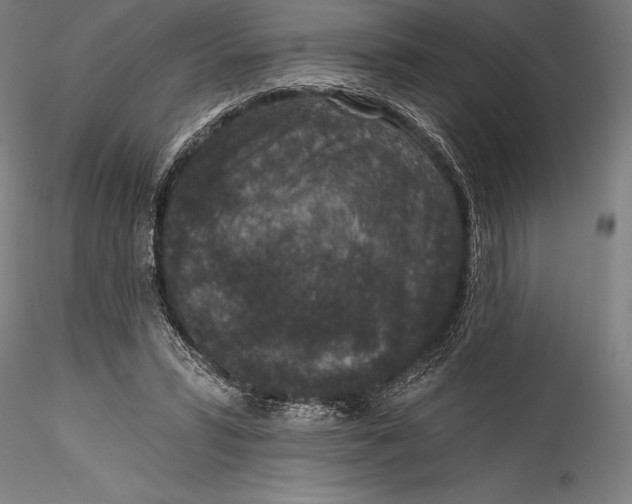 X0000115530399200911271351