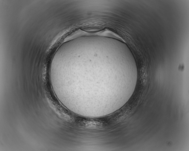 X0000115530400200911271351