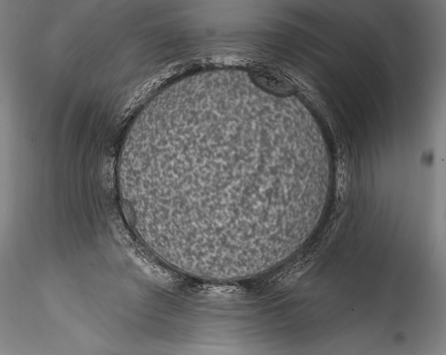 X0000115530401200911271351