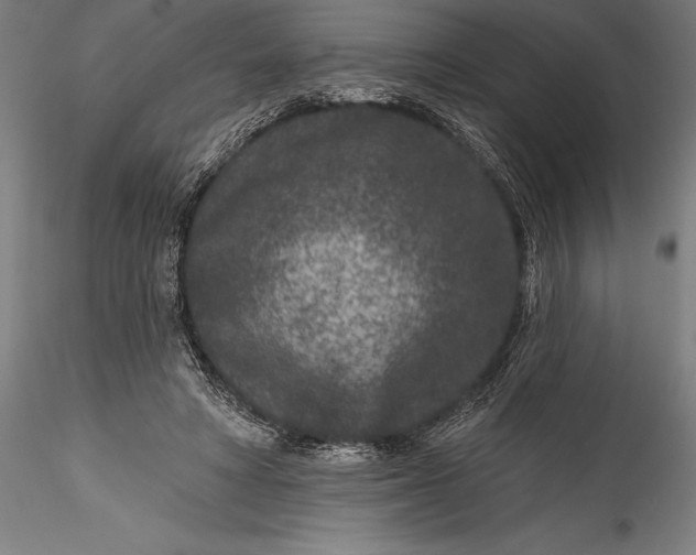 X0000115530402200911271351