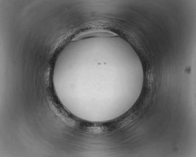 X0000115530404200911271351