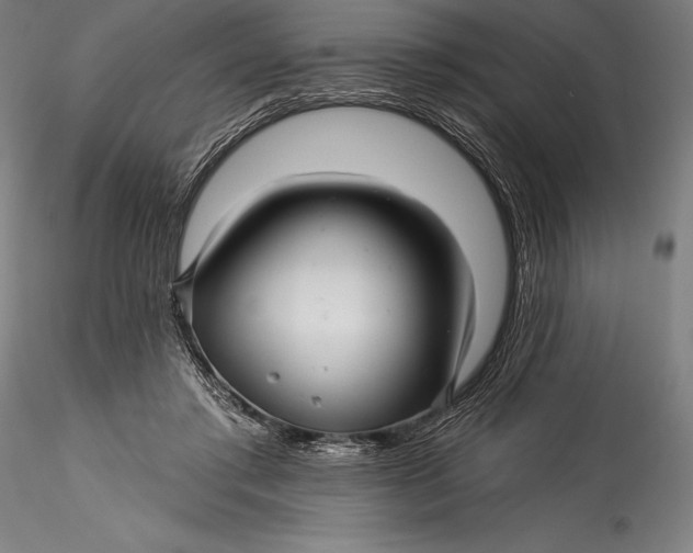 X0000115530405200911271351