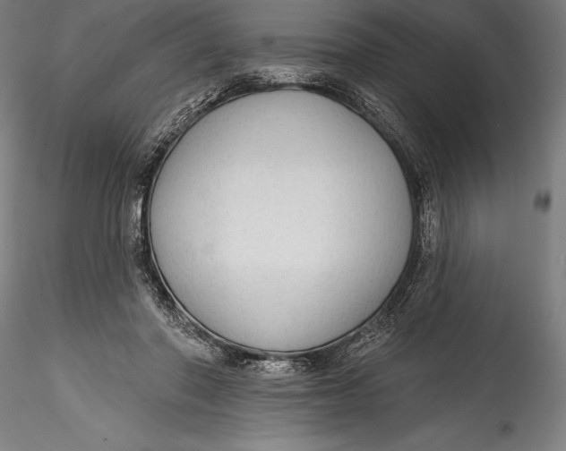 X0000115530406200911271351