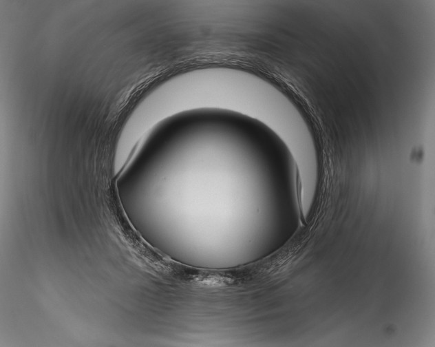 X0000115530407200911271351