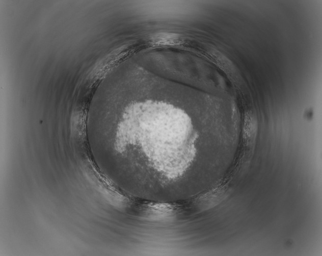 X0000115530409200911271351