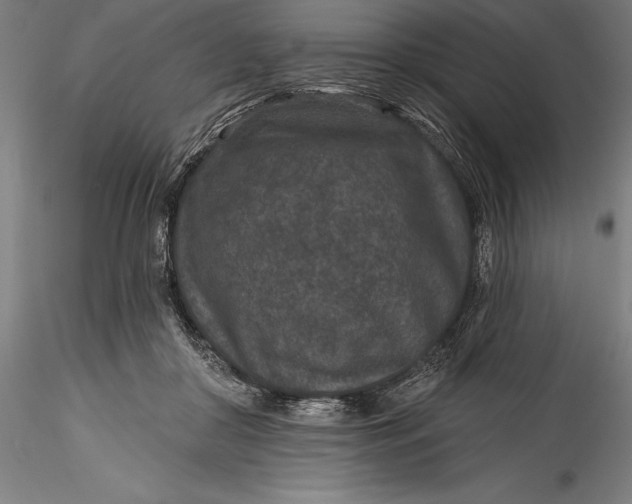 X0000115530410200911271351