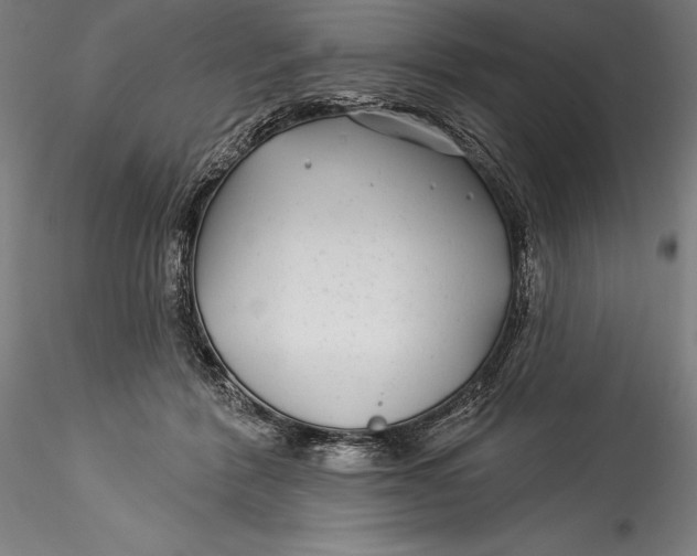 X0000115530412200911271351