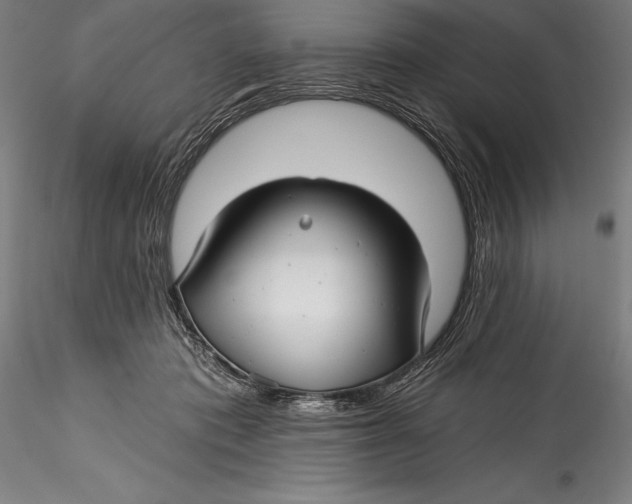 X0000115530413200911271351