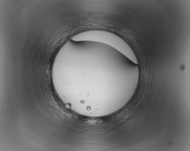 X0000115530415200911271351