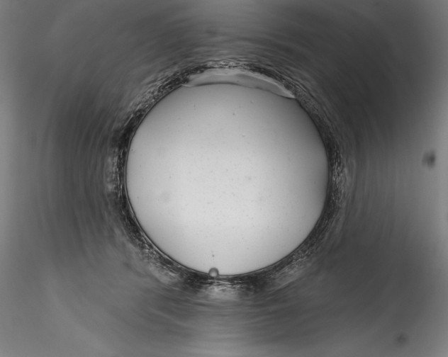 X0000115530416200911271351