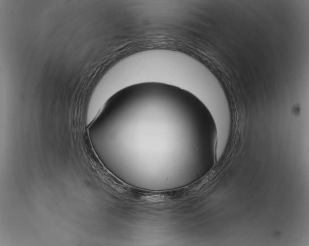 X0000115530417200911271351