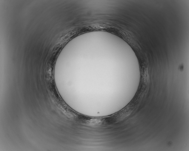 X0000115530418200911271351