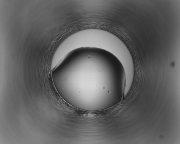 X0000115530419200911271351