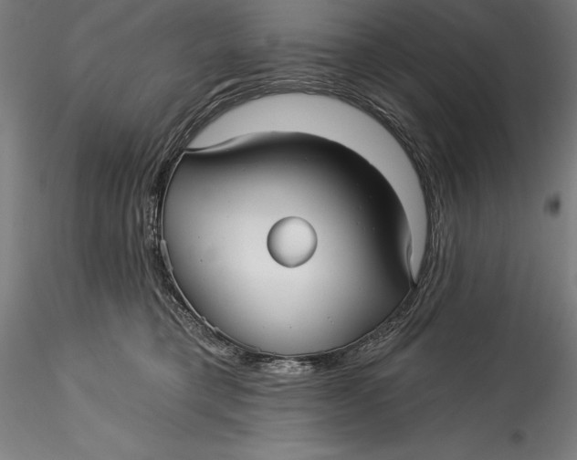 X0000115530421200911271351