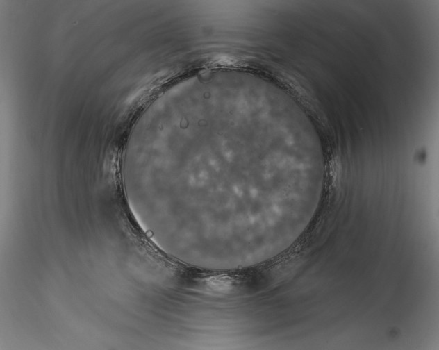 X0000115530423200911271351