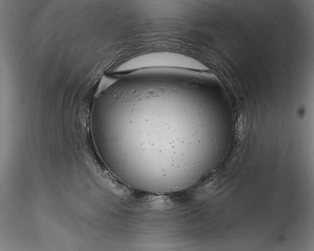 X0000115530424200911271351