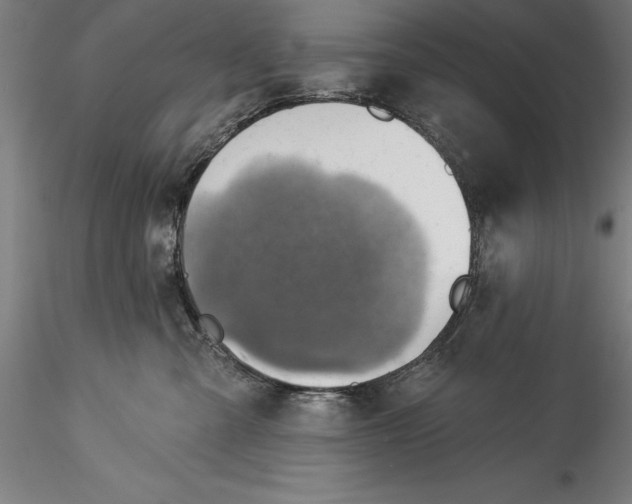 X0000115530427200911271351