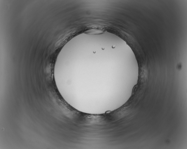 X0000115530428200911271351