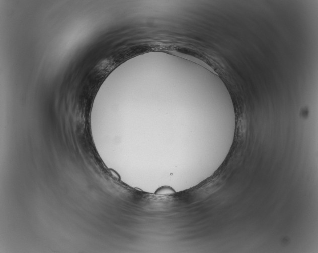 X0000115530429200911271350