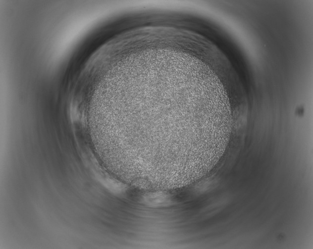 X0000115530431200911271350