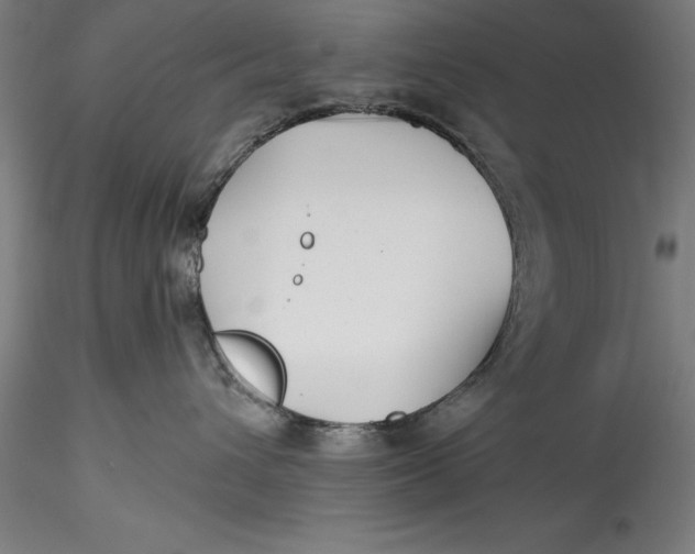 X0000115530432200911271350