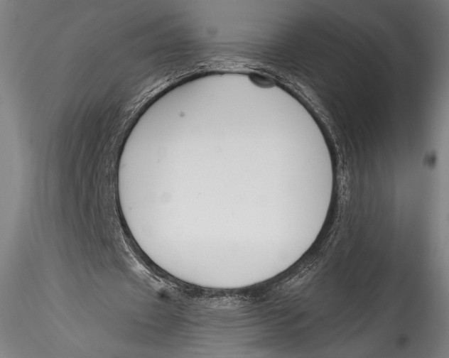 X0000115530433200911271350