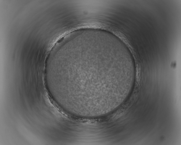 X0000115530434200911271350