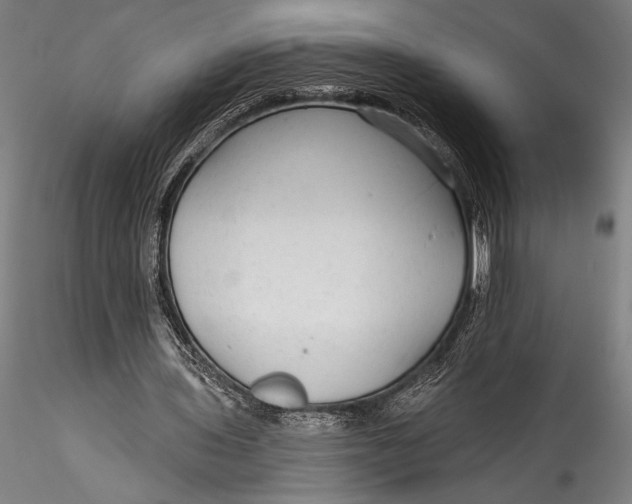 X0000115530435200911271350