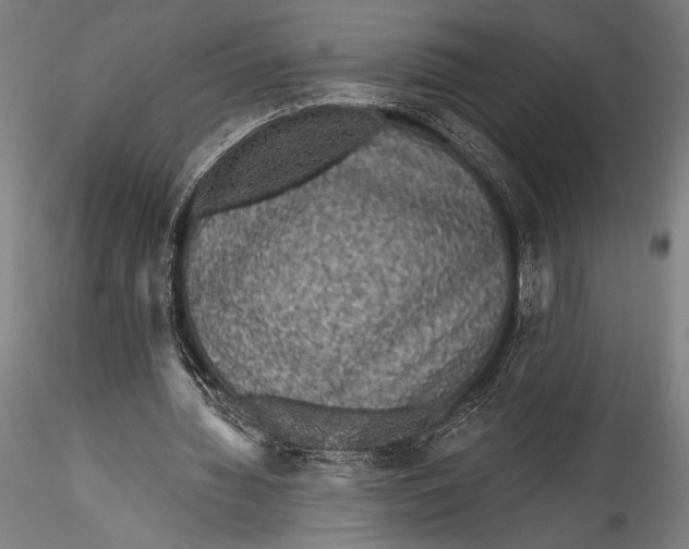 X0000115530436200911271350