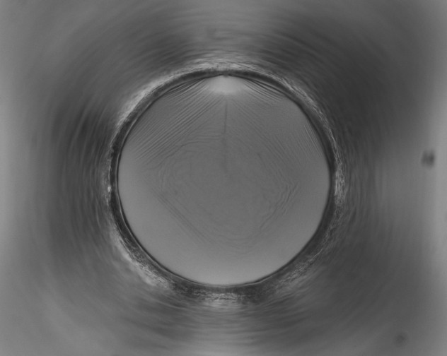 X0000115530438200911271350