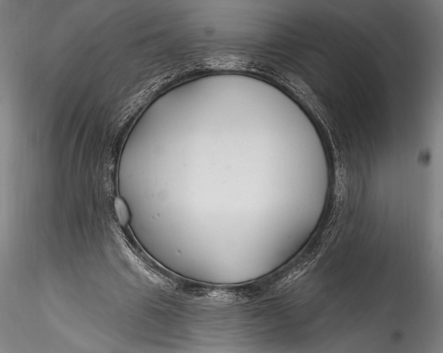 X0000115530441200911271350