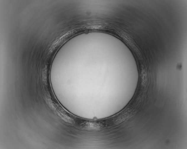 X0000115530442200911271350