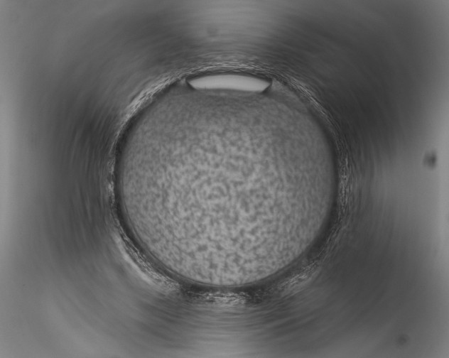 X0000115530443200911271350