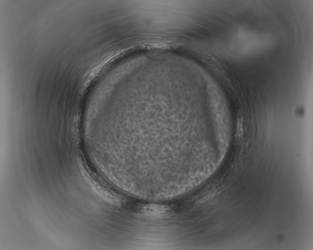 X0000115530444200911271350