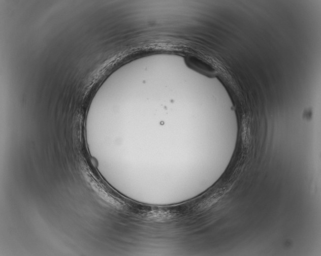 X0000115530445200911271350