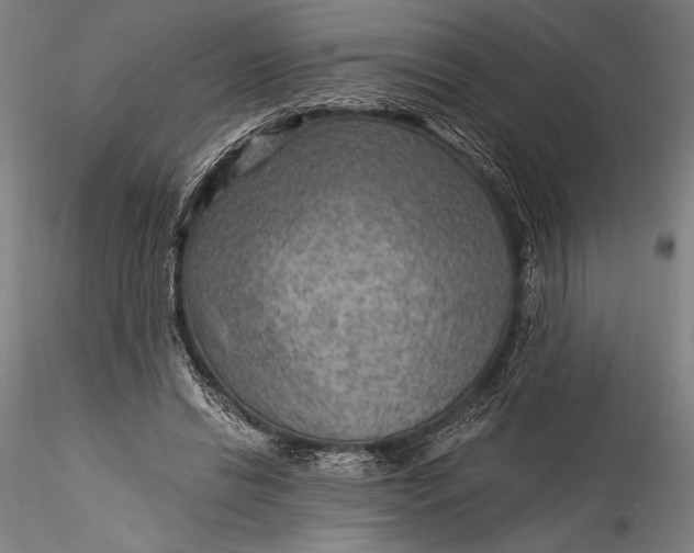 X0000115530446200911271350