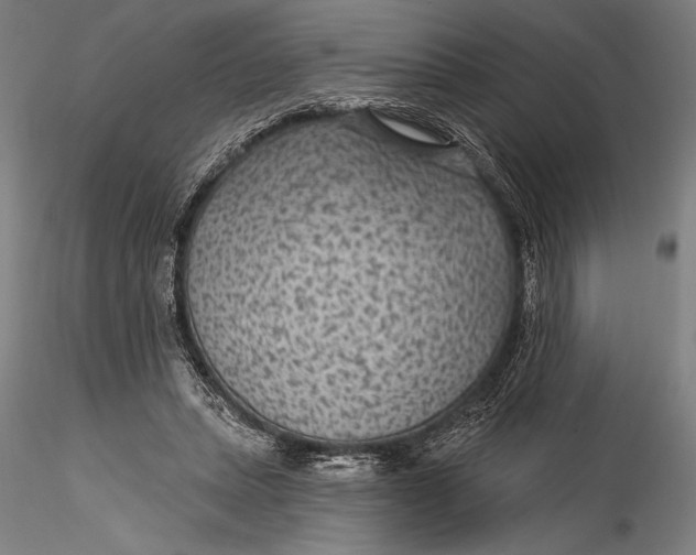 X0000115530447200911271350