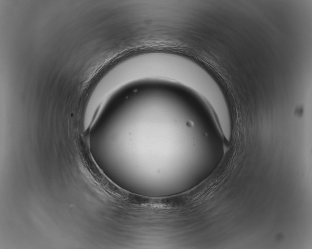 X0000115530448200911271350